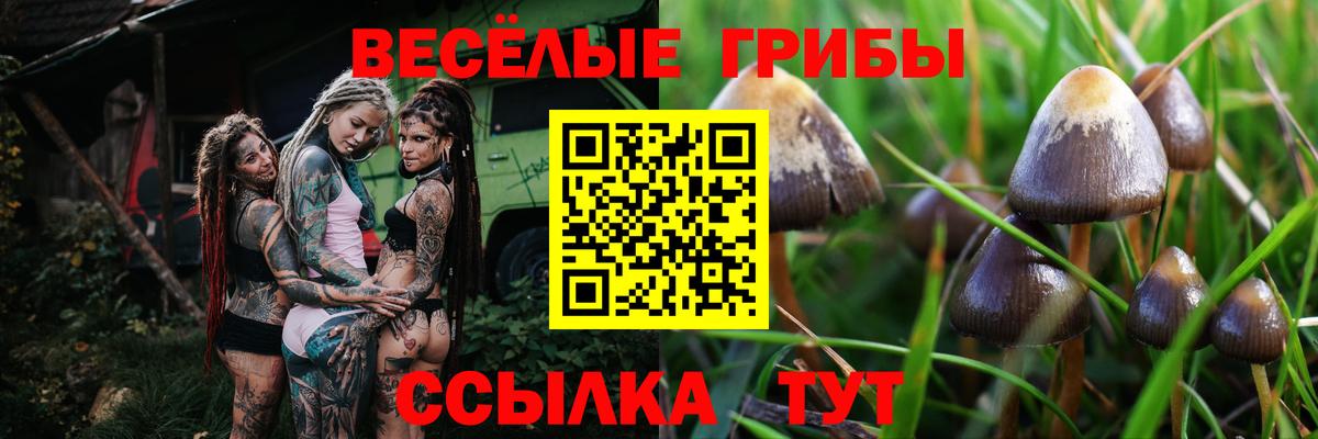 Усолье-Сибирское  Галлюциногенные грибы прущие грибы  Вход с VPN  Галлюциногенные грибы прущие грибы 